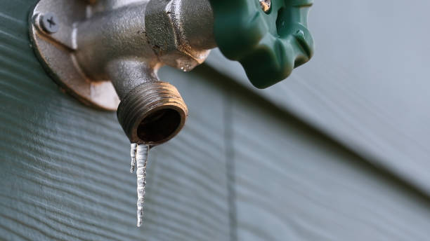 Best Best Plumbers Near Me  in Wadena, MN